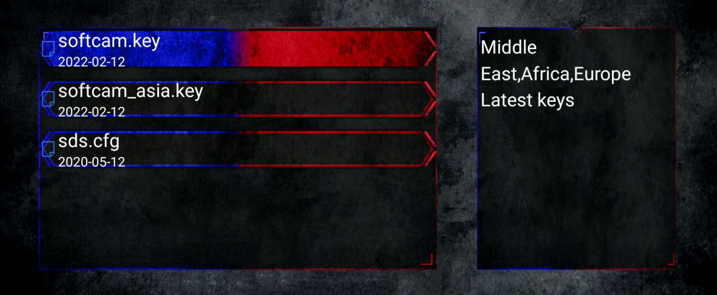 Aggiornamento via internet delle chiavi di codifica (softcam.key)