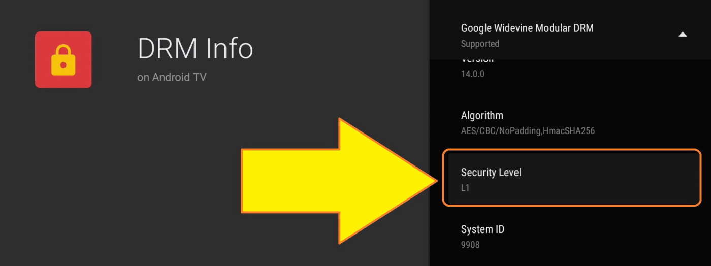 Rilevamento del livello di protezione DRM Widevine con la app Android DRM Info