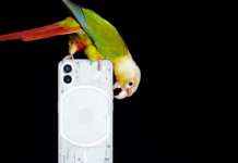 Nothing e Windtre, partnership per il lancio di phone (1) nothing windtre