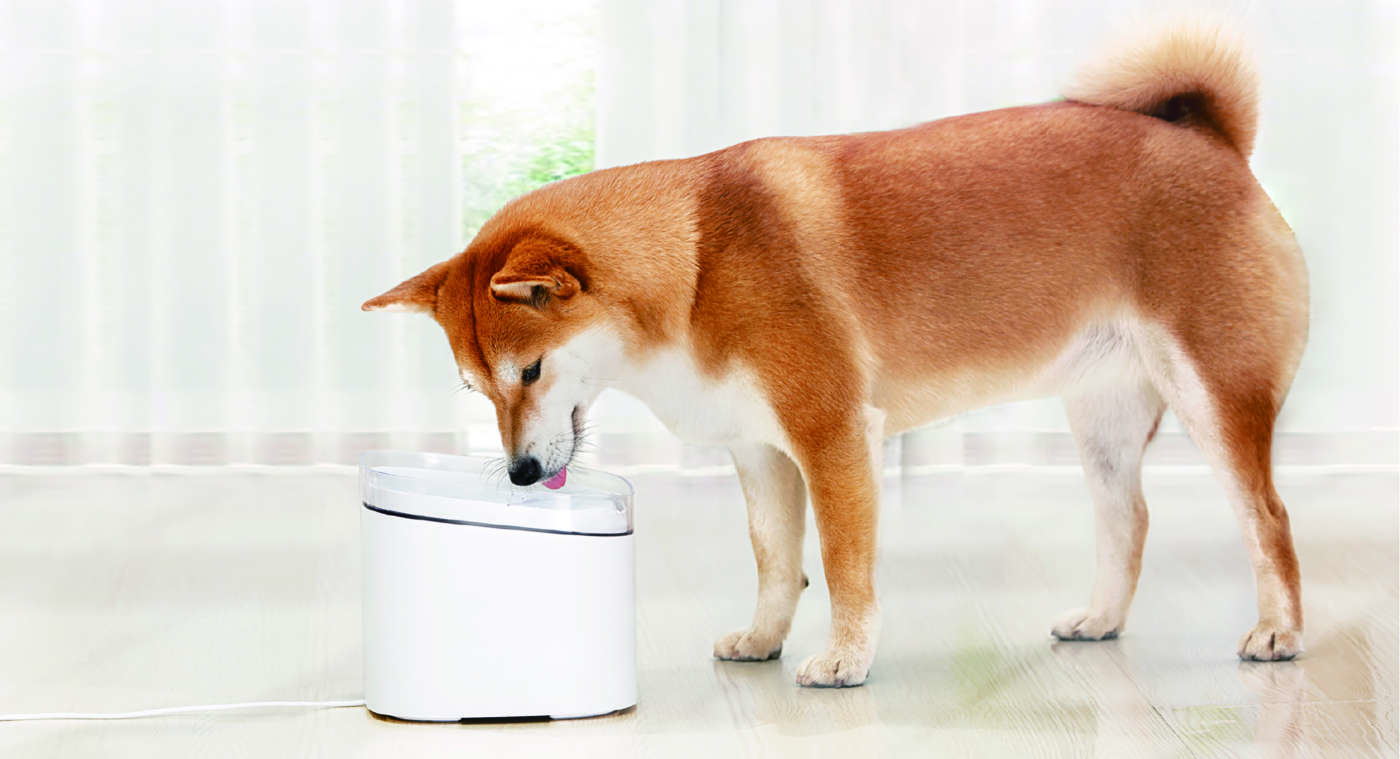 Xiaomi Smart Pet
