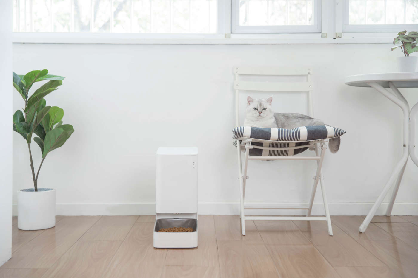 Xiaomi Smart Pet Food Feeder