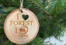 L’albero di Natale secondo PEFC: quello vero è la scelta più sostenibile albero di Natale PEFC