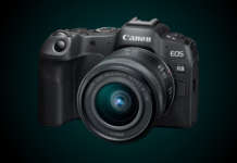 Nuove Canon EOS R50 e R8: le mirrorless per fotografi e videomaker Canon