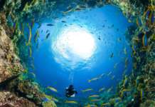 GoPro annuncia la Earth Day Photo Challenge GoPro