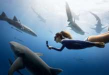 DJI presenta Osmo Action 4, pronta per catturare ogni avventura DJI Osmo Action 4