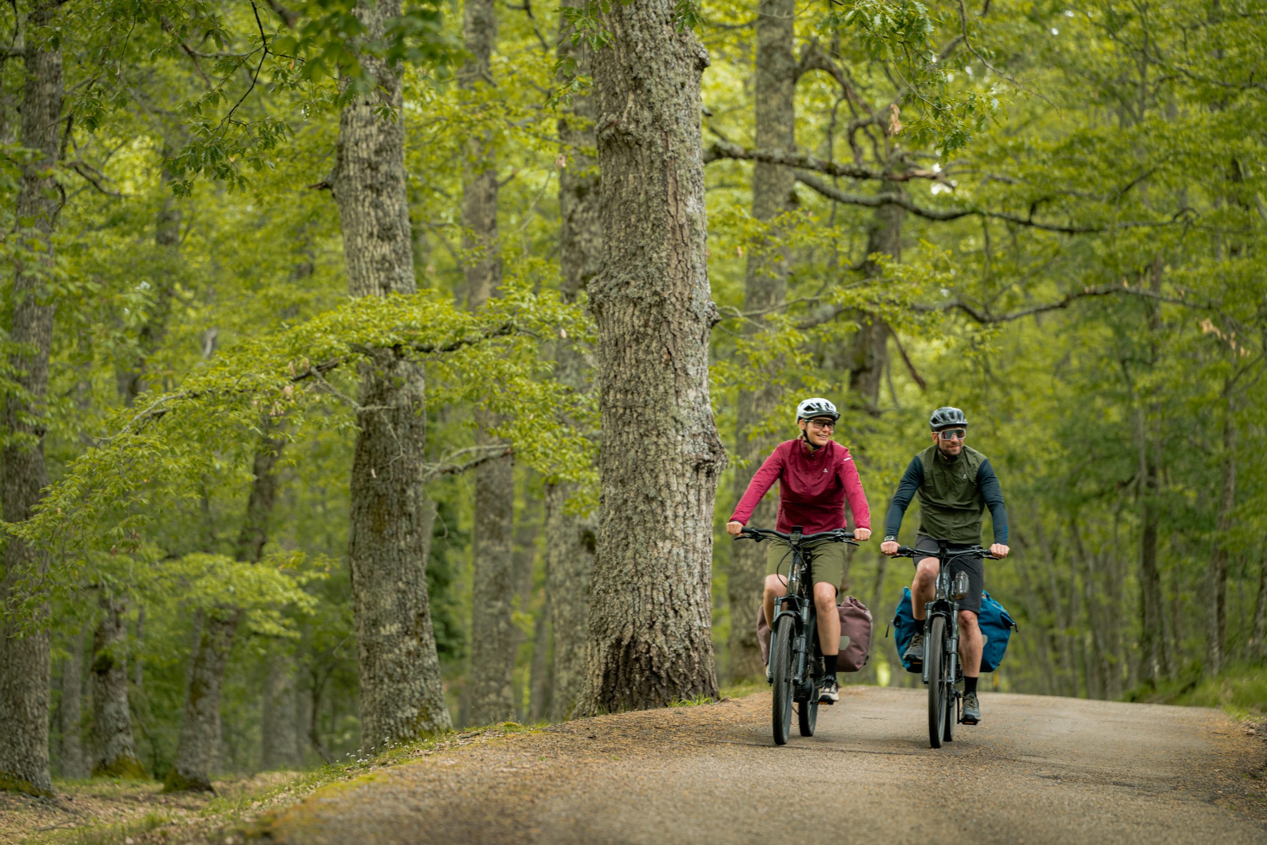 Bosch eBike Systems