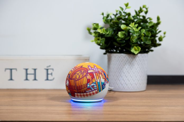 Echo Dot Edizione Limitata Roma