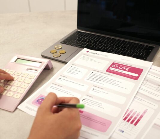 Bolletta luce e gas: sondaggio Octopus Energy su 42mila utenti