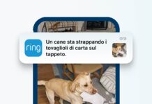 Ring porta in Italia notifiche video basate sull’AI e prepara la crittografia TAKE Ring Protect AI Video Description Cane