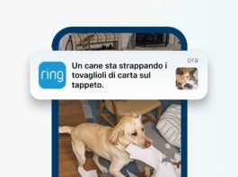 Ring porta in Italia notifiche video basate sull’AI e prepara la crittografia TAKE Ring Protect AI Video Description Cane