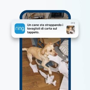 Ring porta in Italia notifiche video basate sull’AI e prepara la crittografia TAKE