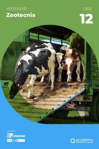 Autotrasportatori 01