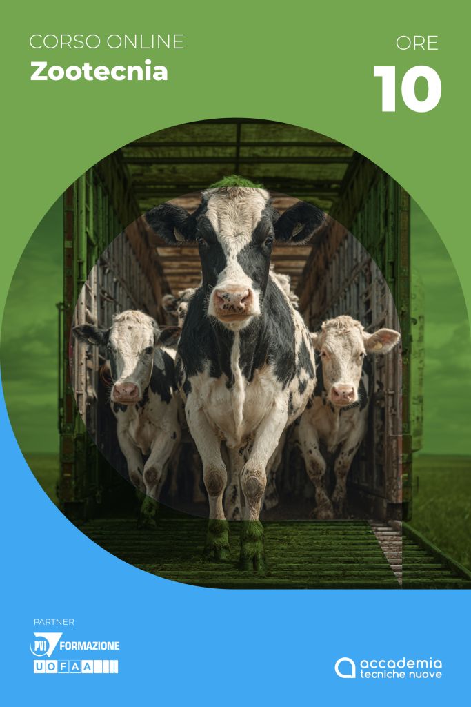 Benessere animali trasporto 01