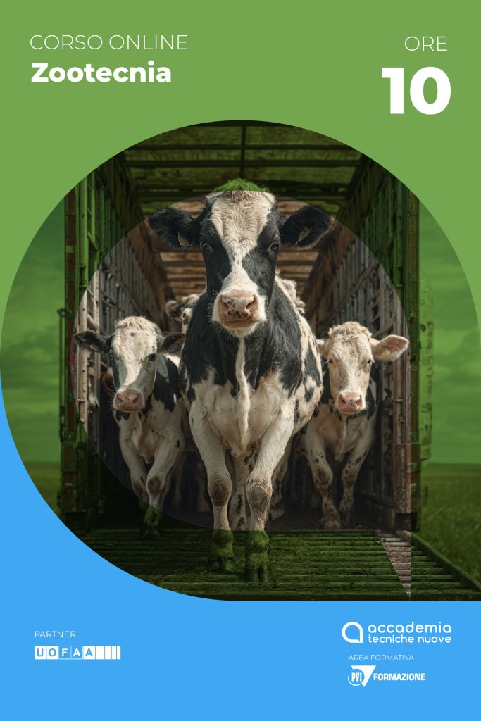 Benessere animali trasporto 01