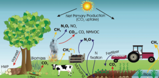 Un modello per la stima delle emissioni di gas serra dal suolo emissioni gas serra