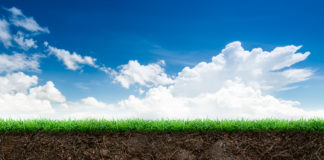 Sostanza organica, ruolo chiave nel climate change