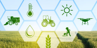 Verso un nuovo DSS, ecco un flash delle attività svolte Dss Life Agrestic