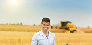 Il backstage della creazione di un nuovo Dss