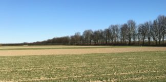 Progettazione dei sistemi colturali efficienti in termini di carbonio e azoto sistemi colturali innovativi