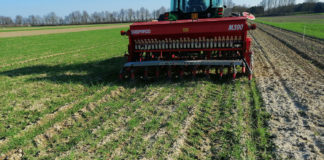 Azzera le emissioni generate dalla coltivazione del frumento con la consociazione