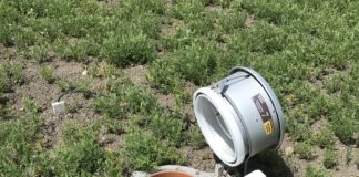 Nuovi dati sulle emissioni di gas serra dai sistemi colturali di Life Agrestic