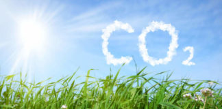 Il carbon farming diventa strategia d’impresa carbon farming