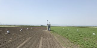 Gestione sostenibile dei sistemi colturali: la misurazione delle emissioni