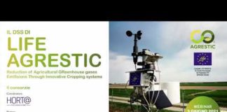 Il DSS di Life Agrestic