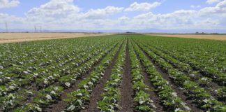 Si può pagare di più se il prodotto è sostenibile