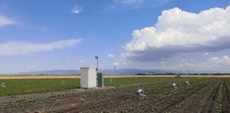 Nuovi dati sulle emissioni di gas serra dai sistemi colturali di Life Agrestic