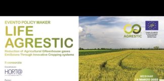 Il contributo dell’agricoltura alla resilienza climatica: tecniche innovative e politiche di supporto