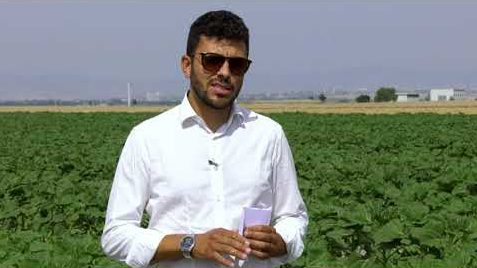 In campo con Life Agrestic: visita al sito dimostrativo di Foggia