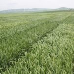 Sportelli_progetto Strategia_2_Panoramica_5235750;1_View