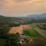 agricoltura rigenerativa