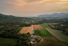Si fa presto a dire agricoltura rigenerativa agricoltura rigenerativa