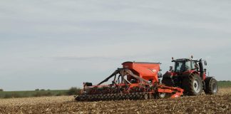 agricoltura conservativa