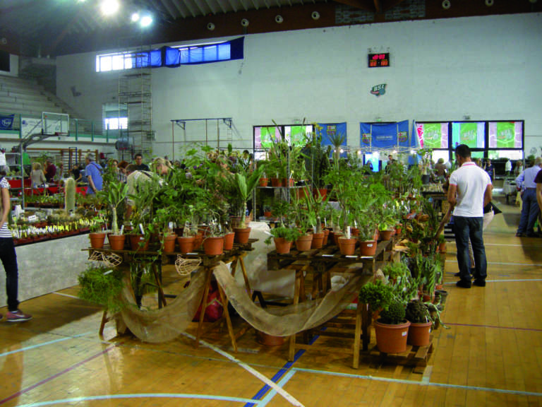 palasavena
