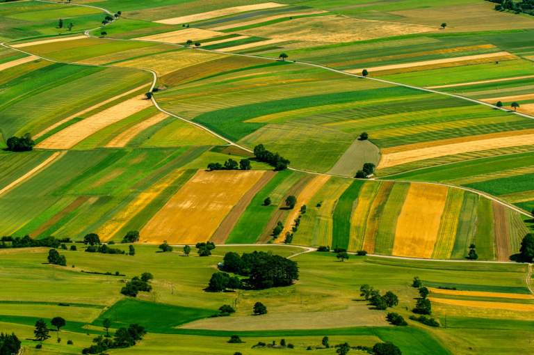 agricolo
