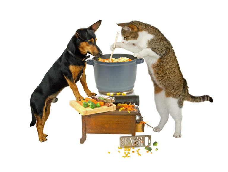 petfood