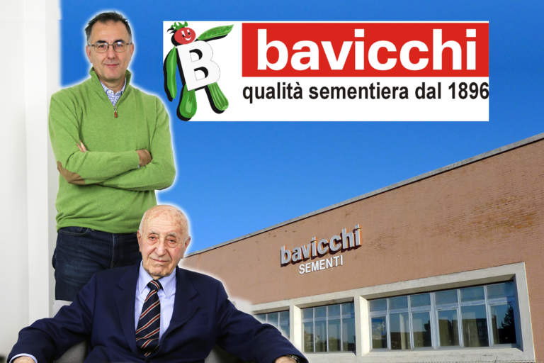 bavicchi
