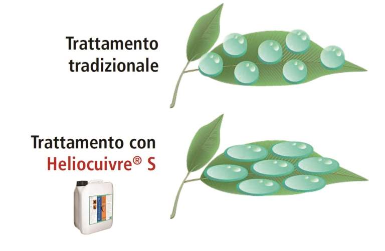 Trattamento