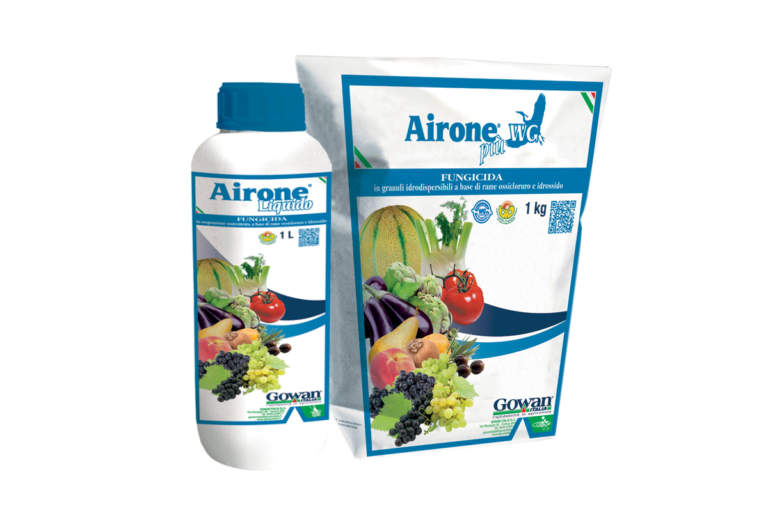 airone