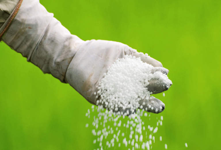 concimazione fertilizzanti