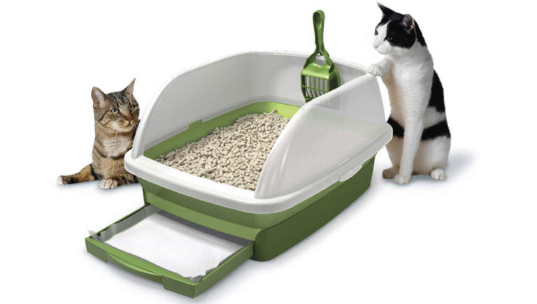 come scegliere la lettiera per il gatto