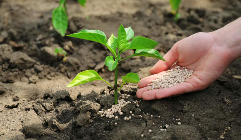 fertilizzanti