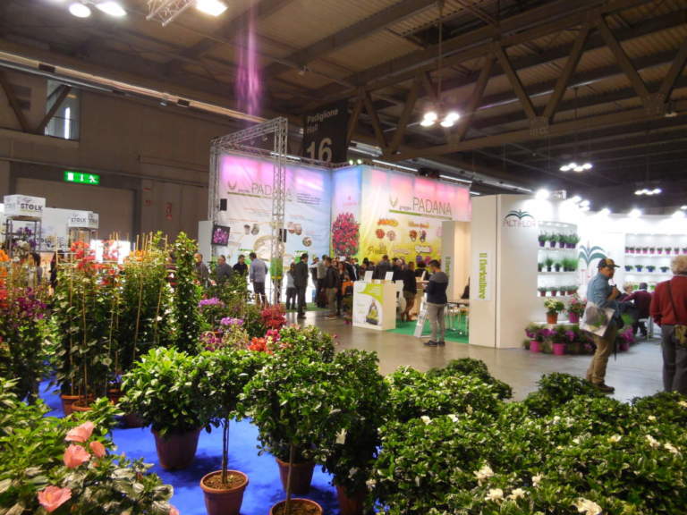 myplant & garden 2019