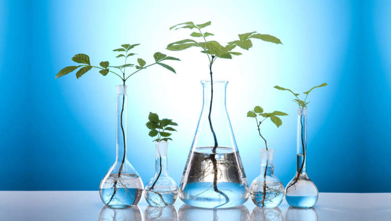 biostimolanti in agricoltura