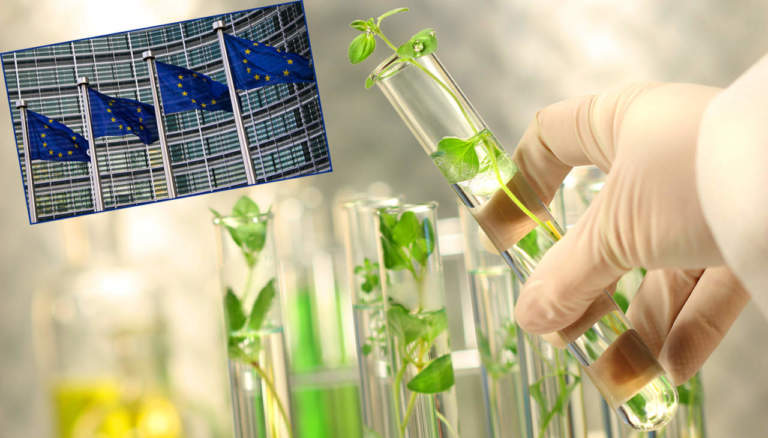 biostimolanti e la nuova normativa ue sui fertilizzanti