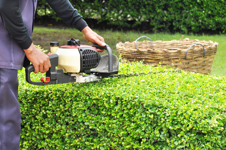 attrezzature e macchine per il giardinaggio