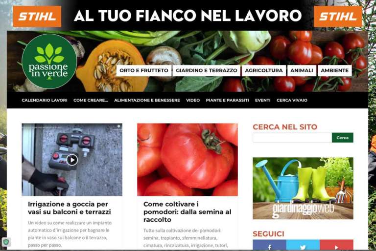 navigare nel web